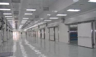 疫苗冷庫實拍 疫苗冷庫實拍